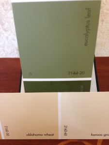 Paint Samples for the remodel