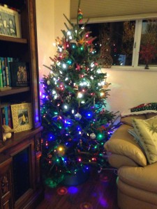 The Smaller Christmas Tree