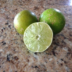 Limes From Tree in Our Back Yard 